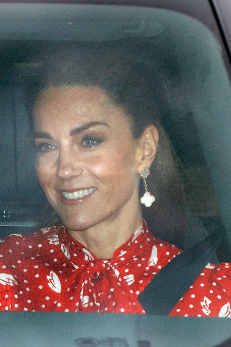 Image may contain Cushion Home Decor Face Head Person Photography Portrait Adult Accessories Earring and Jewelry