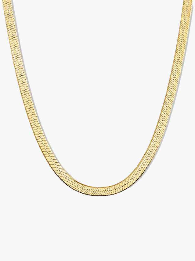 Image may contain: Accessories, Jewelry, Necklace, and Chain