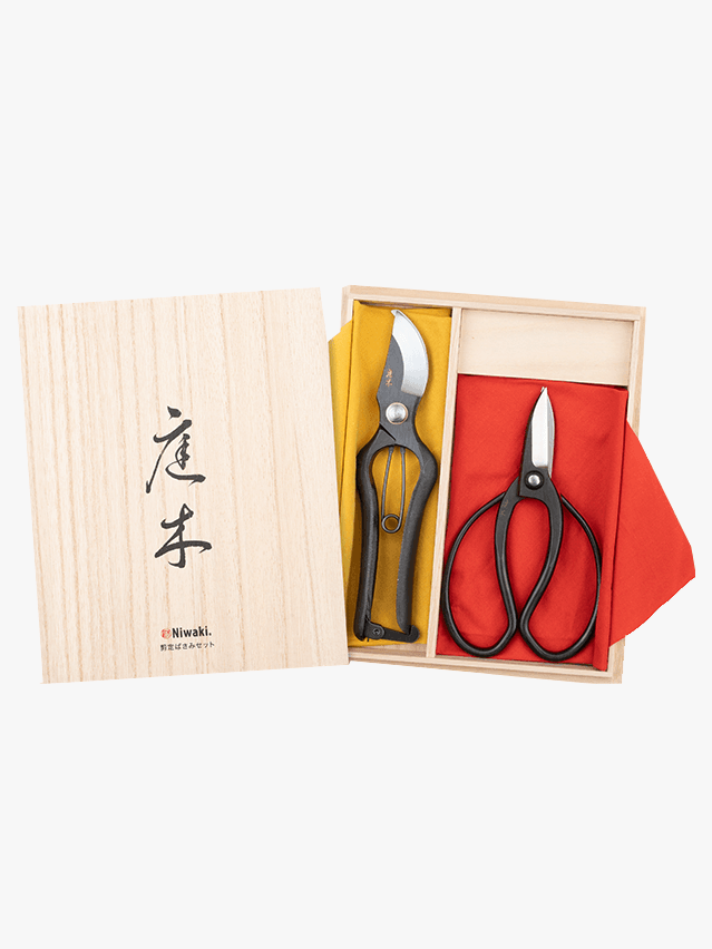 Image may contain: Scissors